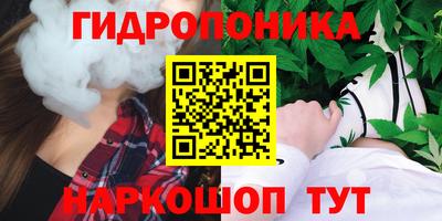 стаф Тверь