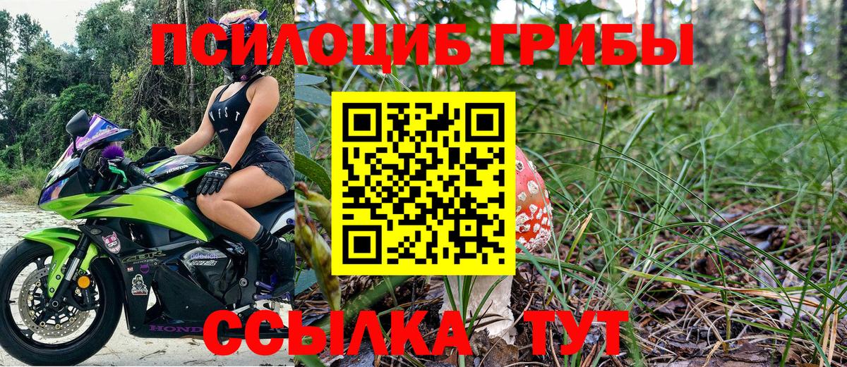 купить наркотики сайты  Вход с VPN  Подольск  Галлюциногенные грибы MAGIC MUSHROOMS  Галлюциногенные грибы GOLDEN TEACHER 