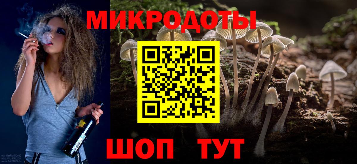 Галлюциногенные грибы Psilocybine cubensis Подольск